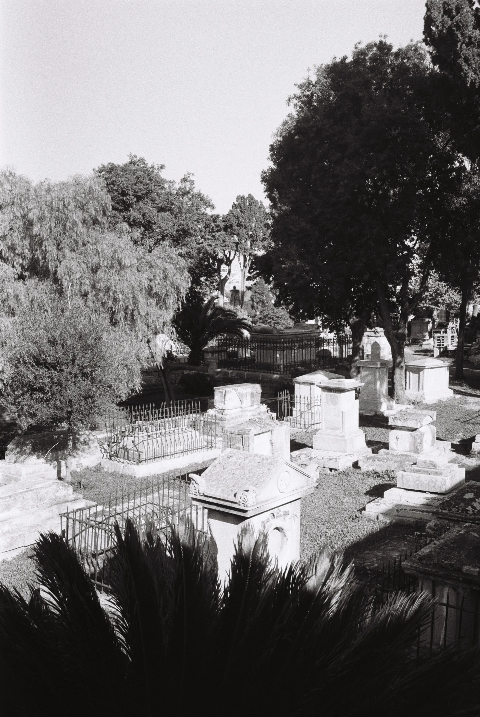 Msida Cemetry